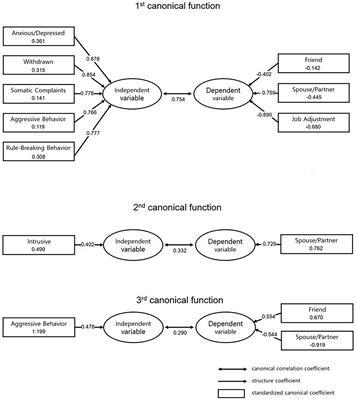 Multi-layer relationships between psychological symptoms and life adaptation among humidifier disinfectant survivors